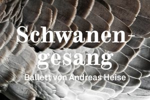 OG-WebHeader-880x586-19-2020