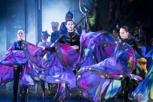 Die Fledermaus © Werner Kmetitsch