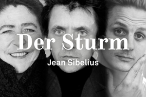 Der Sturm