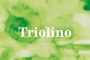 Triolino