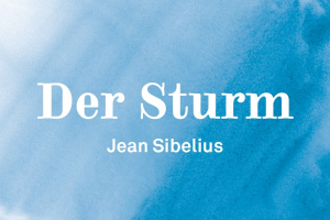 Der Sturm II